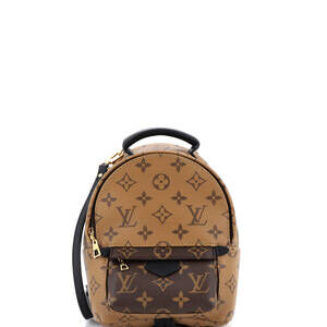 Louis Vuitton Palm Springs Backpack #240306L21B